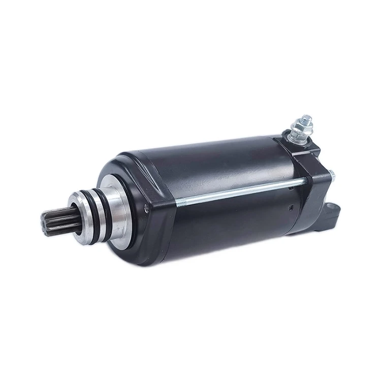 Electric Starter Assembly